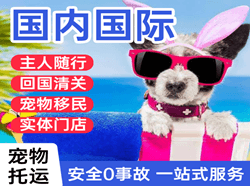 普宁机场快运国际宠物托运 【国